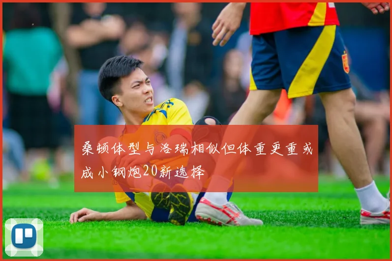 桑顿体型与洛瑞相似但体重更重或成小钢炮20新选择
